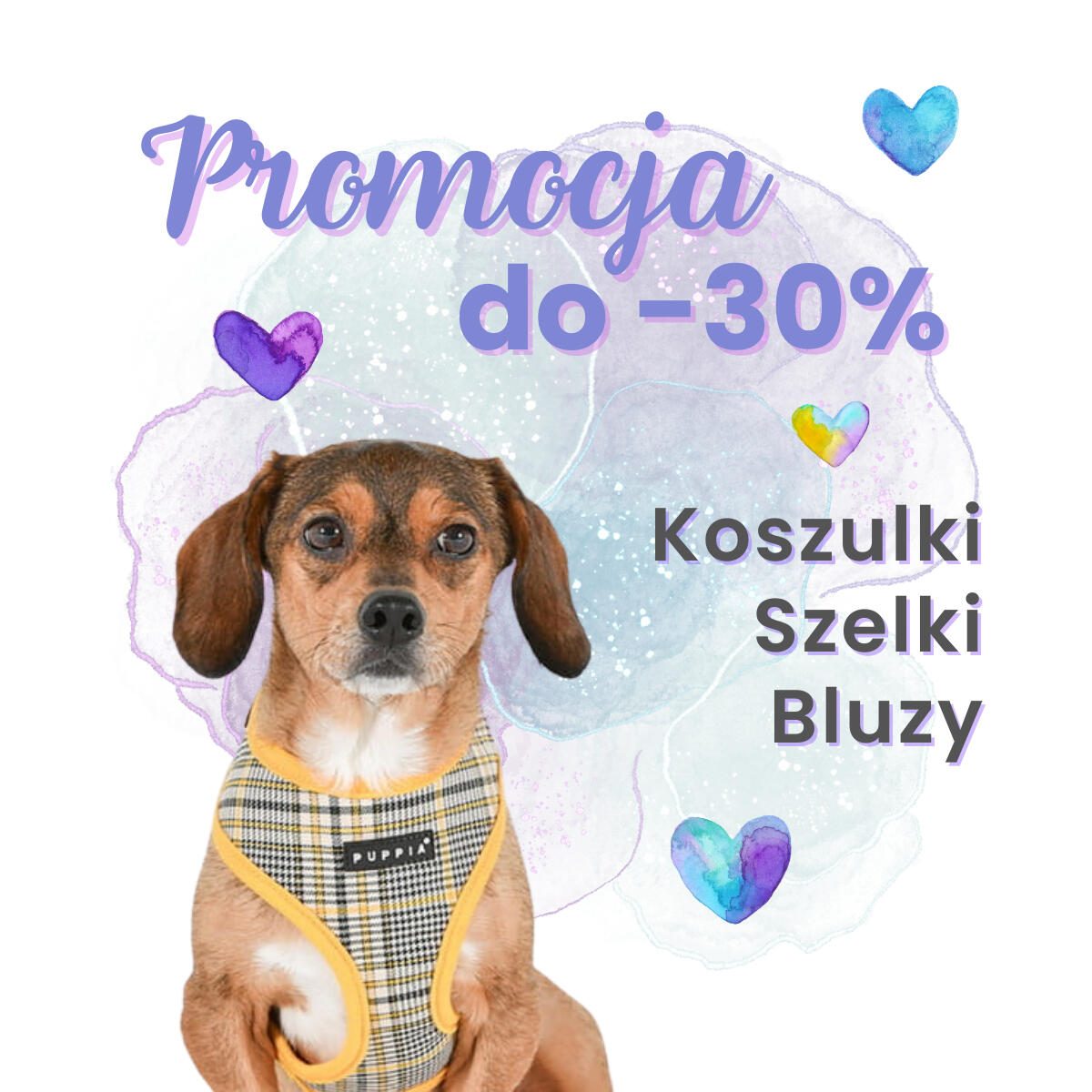 Advertisement banner for Petbutik.pl